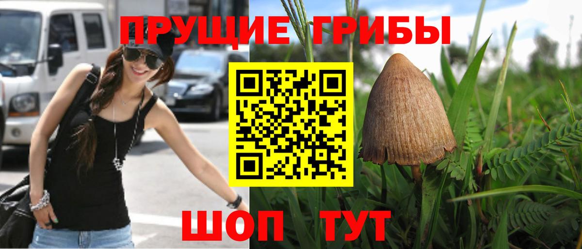 Псилоцибиновые грибы ЛСД  Вход с VPN  Иркутск 